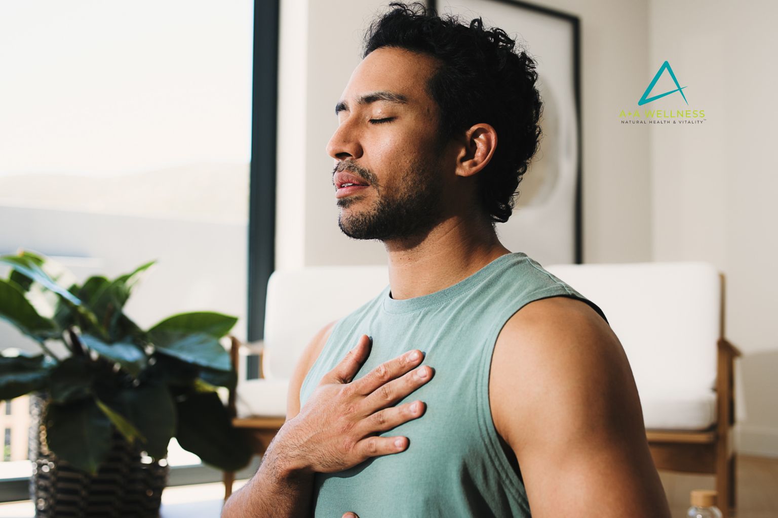 Clinician-grade nutraceuticals used as part of the personalized holistic wellness approach at A+A Wellness